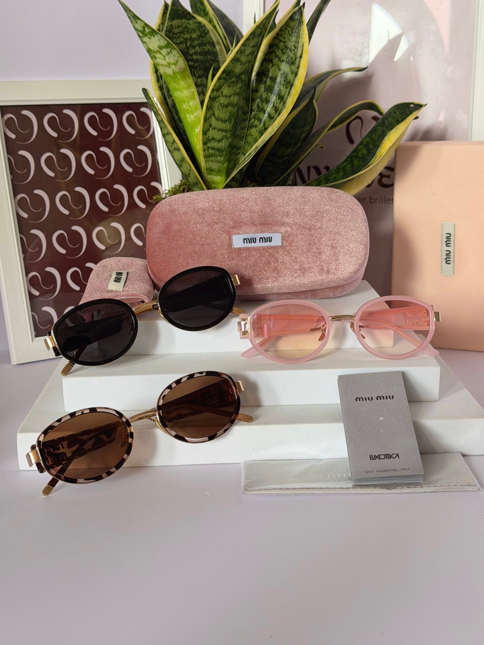 Lunettes de soleil Miu Miu – Pack Premium